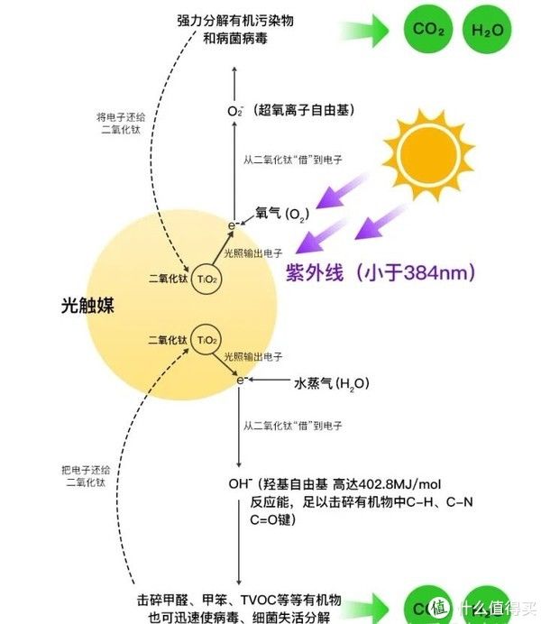 cm装修那些事 篇五：为了除甲醛，我做了哪些努力