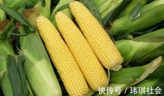 食物|长寿老人爱吃的5种食物,补血益气,延年益寿,爱吃一种你就赚了