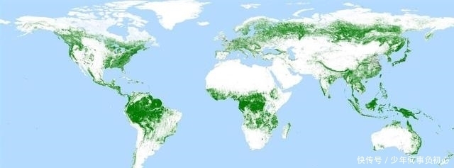 巴西 卫星对准全球森林!中国大半领土都“绿”,德国巴西发现新砍伐区