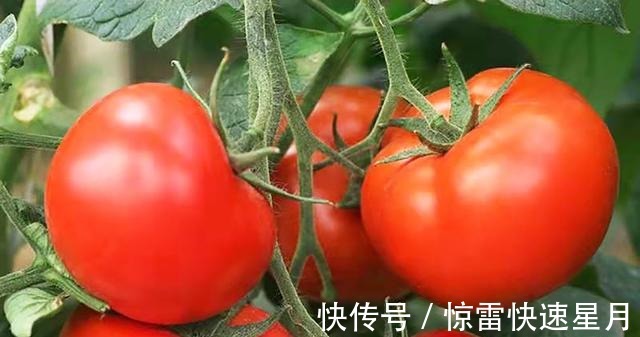 肉末|冬天多吃这6种食物,孩子少生病身体棒,有钱没钱都要常备一些!
