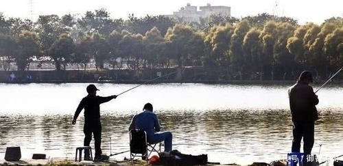 别人用玉米钓鲤鱼连竿,自己这里却没有口,原来问题出现在这里!