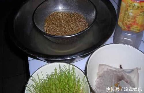麦粒做钓饵的三种方法,清香又甜酸,春夏秋钓鱼更加有效