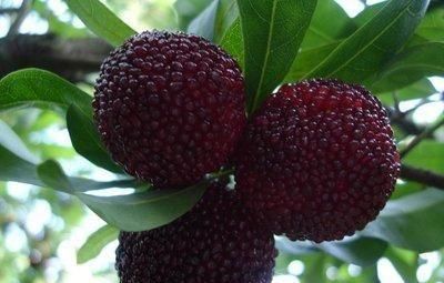 羡慕|女性羡慕别人皮肤好，不妨常食以下食物，色斑淡了，皮肤更细腻