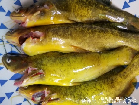 孩子|秋后,我常给家人吃的鱼,补钙补铁还补锌,孩子吃易吸收不积食