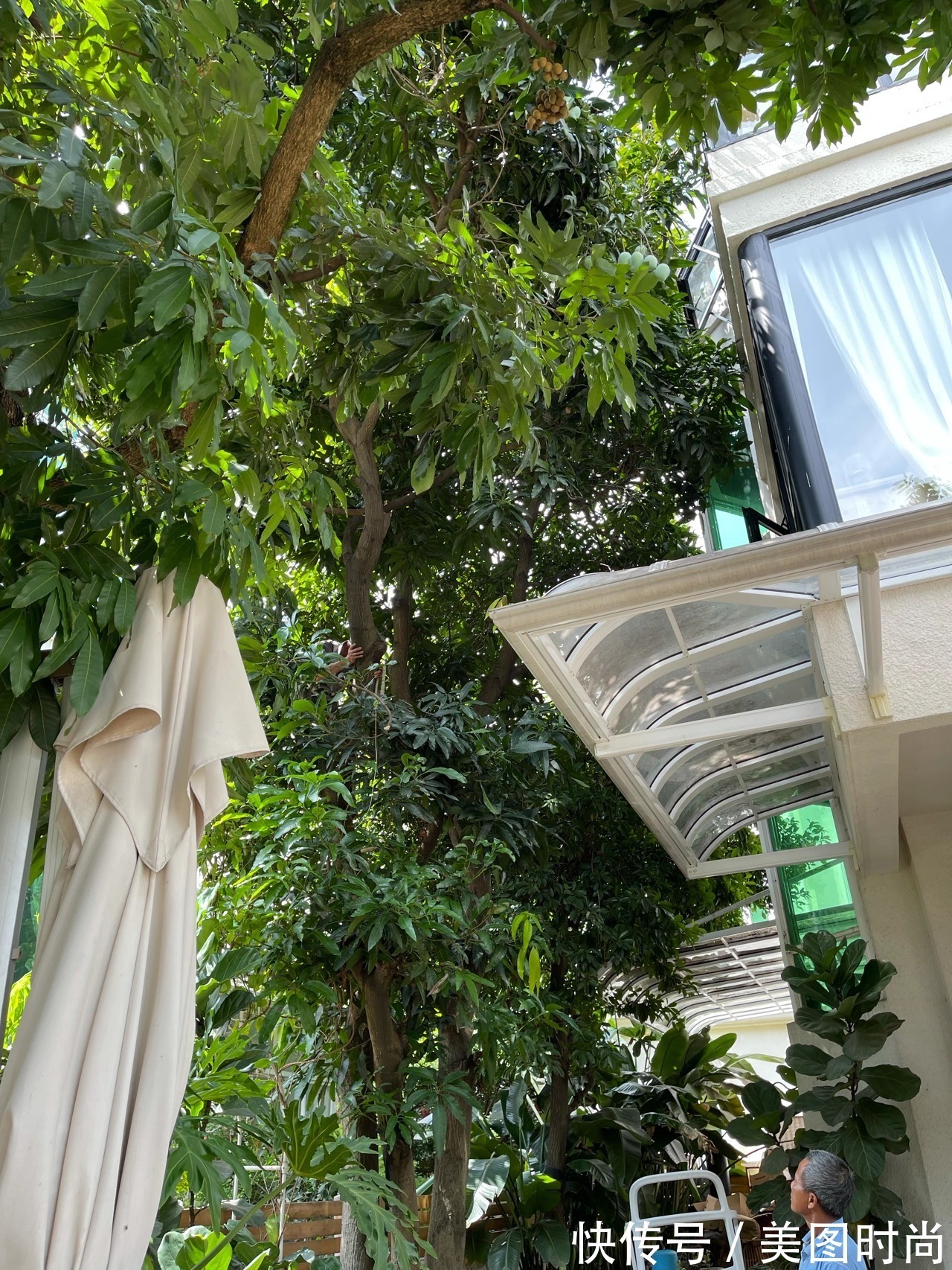 预算8万,改造170㎡别墅“沙漠植物懒人花园”,太好看了