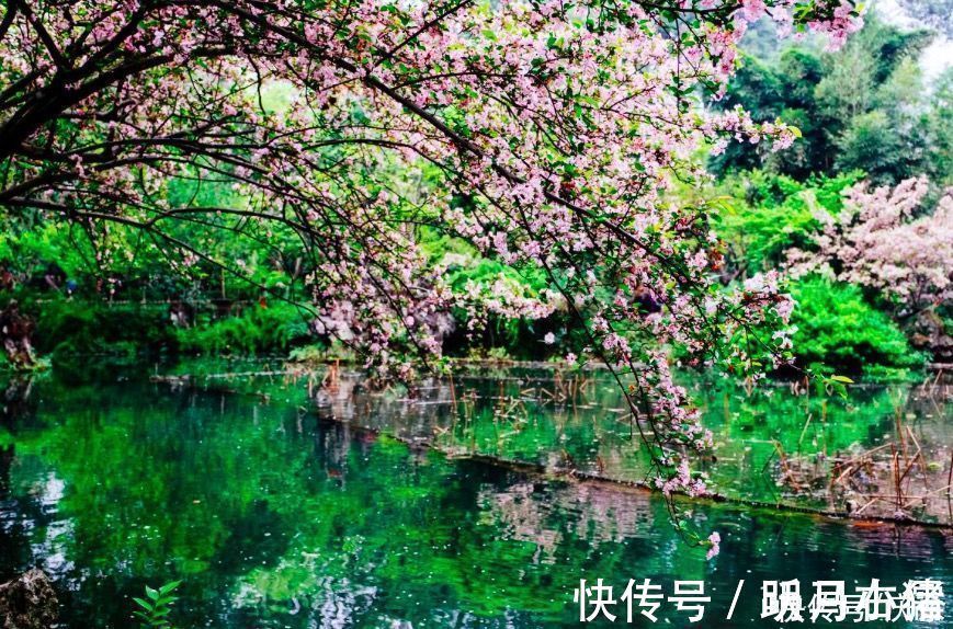 春夜喜雨$杜甫很经典的一首咏雨诗,开篇就是名句,历来为人称道