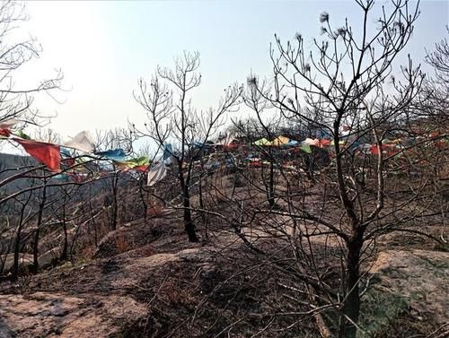 温州有个宝藏旅行地，海拔707米山顶藏着西北风光，不是雁荡山