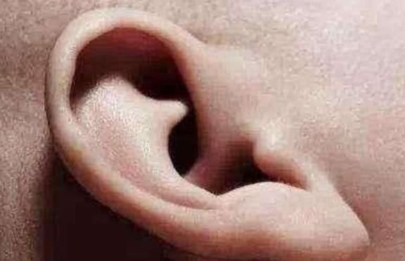 雄性激素旺盛的男性，大多会有4个特征，看看你是幸运儿吗！