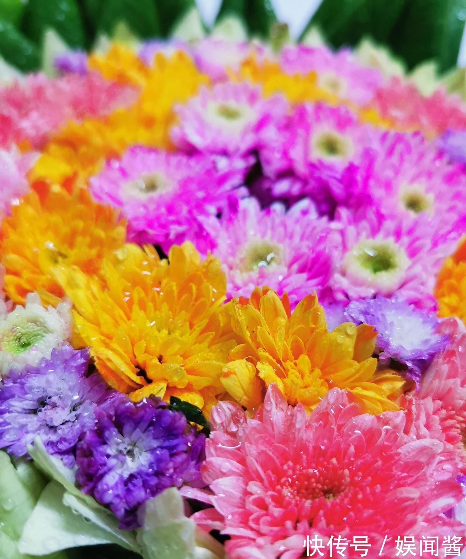 自然界@宋诗四首,其中一首是苏轼的小景七绝,此诗寓意深远,耐人寻味