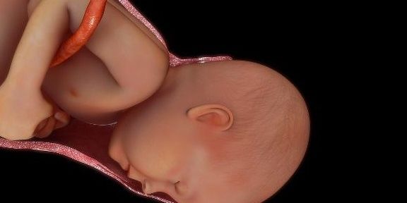 生长发育|宝宝在肚子里这个月长得最快，大脑也开始发育，准妈错过就晚了！
