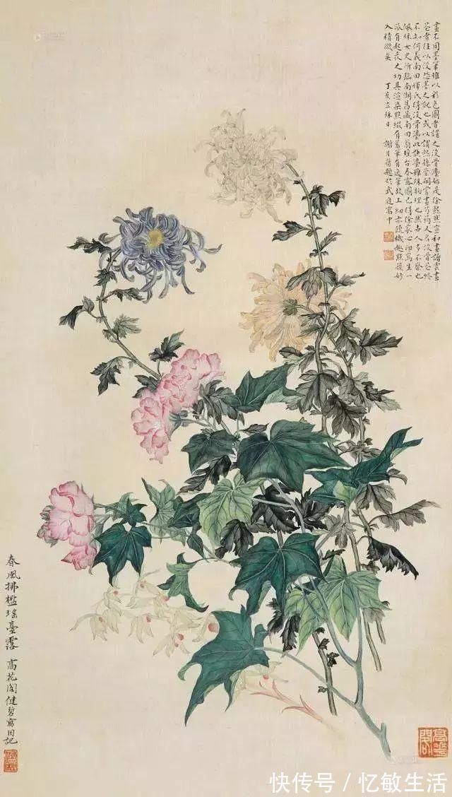 花鸟！她凭天赋自学书画，画画不到20年，却堪称“花鸟圣手”，成为一代传奇