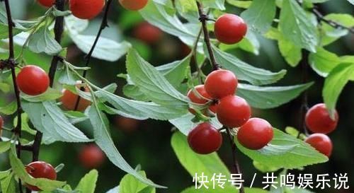 护肤|女性不想变黄脸婆，多吃四种食物，排毒护肤，美容抗衰， 好处多