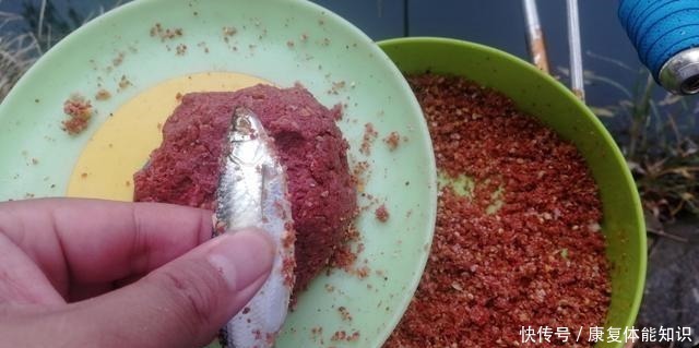 小鱼闹窝并不是坏事,明白这几点,再也不怕小鱼闹!