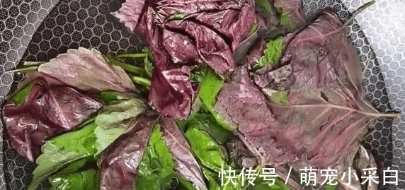 所以市场碰到它别手软，买几斤一腌一晒，酸甜有嚼劲，比新鲜的还好吃