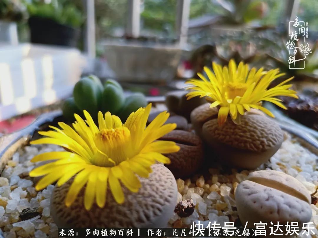 养肉路上，累并快乐着！时光不语，静待花开！