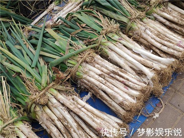 保存大葱挺简单,不干瘪不空心,囤20斤吃一冬,随吃随取很方便