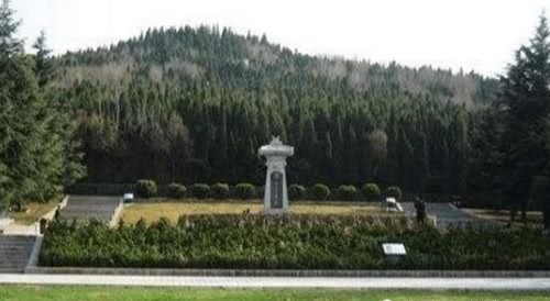 石榴树|秦始皇陵究竟放了多少水银?专家:你看下附近的石榴树就明白了