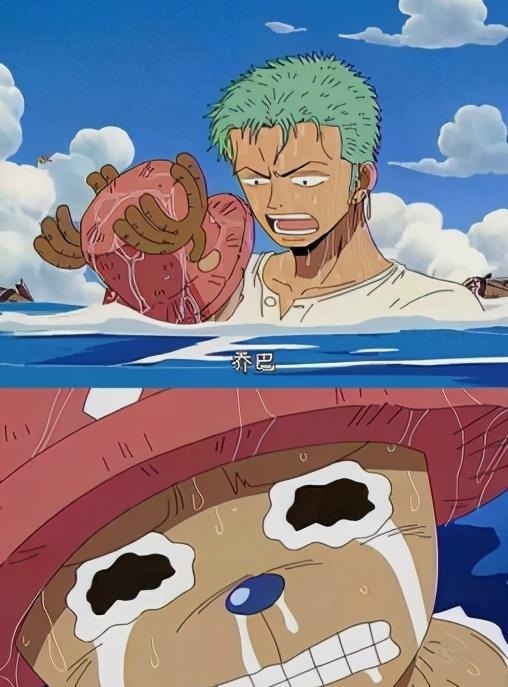 祝福|海贼王:路痴索隆双十一生日,山治演员的祝福送出了精髓