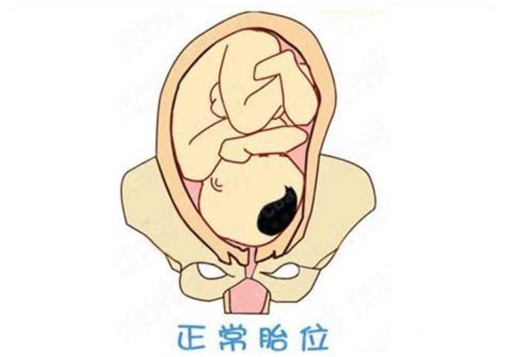 萝爸|顺产也是有门槛的,孕妈想顺产,先看看自己满不满足4个条件!