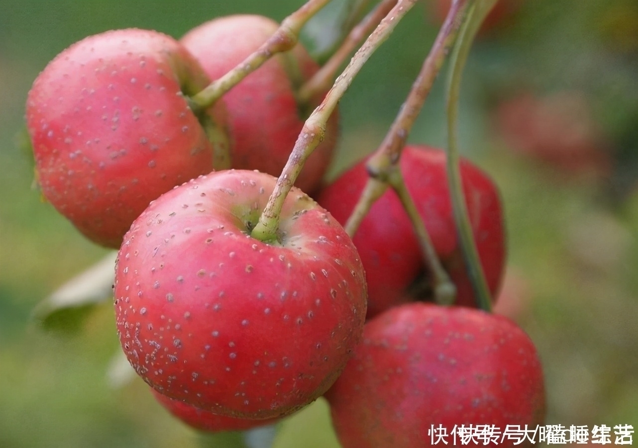 血管|中年人要学会吃3种食物，坚持1个月，抗衰老，排毒素，血管更通畅