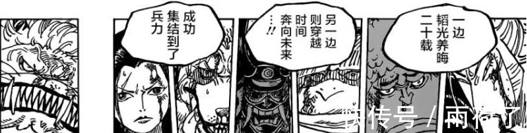 索隆|凯多酒醒了赤鞘九侠大危机！最后还是要靠路飞终结！