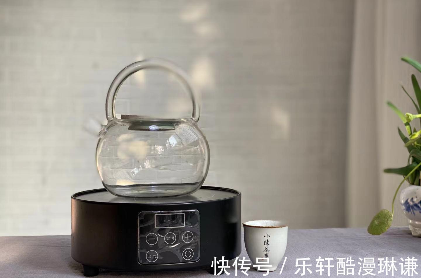 玻璃壶|养生壶、玻璃壶、铁壶、粗陶壶,谁才是秋季煮老白茶的选择