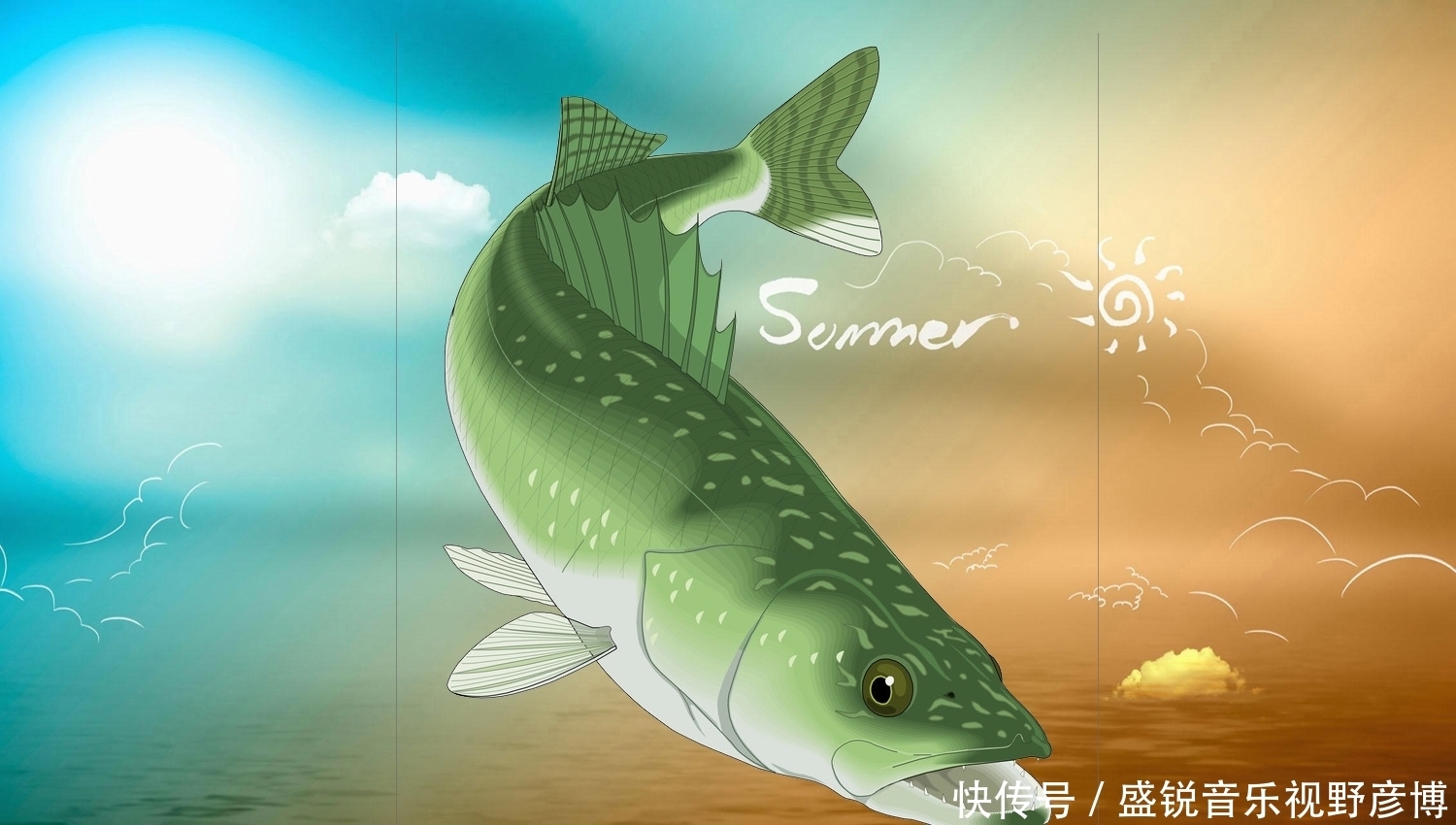 鱼类|怎样才能成为钓鱼高手？成为真正的钓鱼高手需要的四个步骤