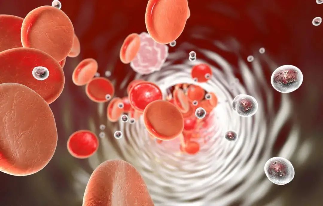 土豆粉|警惕“病从口入”,要想远离白血病侵扰,这3种常见的食物要少吃