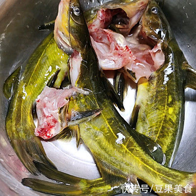 高压黄骨鱼是“减肥王”!连吃1周竟然瘦了6斤