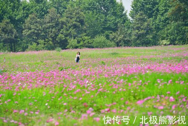 藏族|成都的＂俄么塘＂花海，很适合周末1天打卡，地铁直达免门票