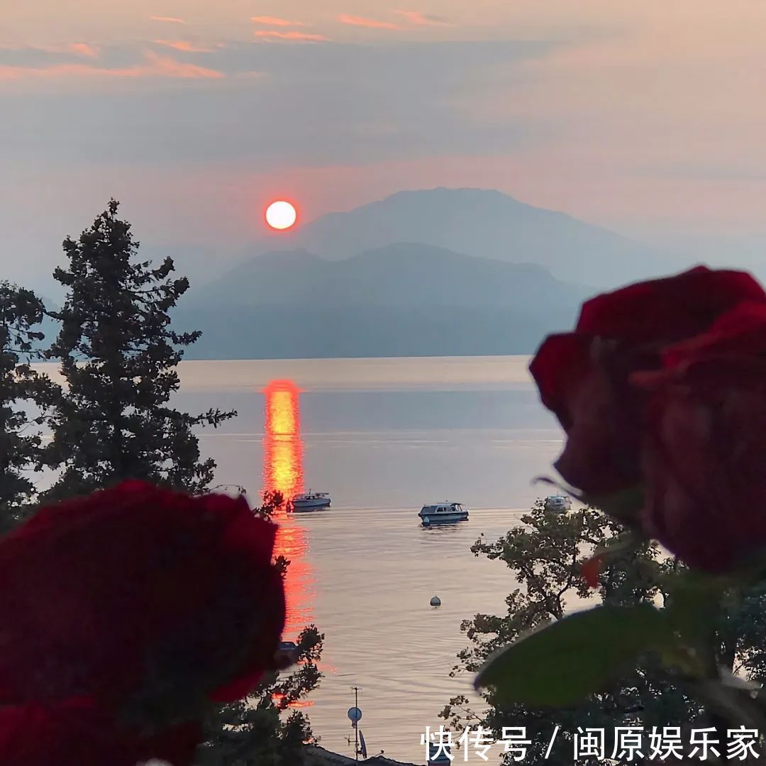 村上春树|神仙·封面丨高情已逐晓云空,不与梨花同梦