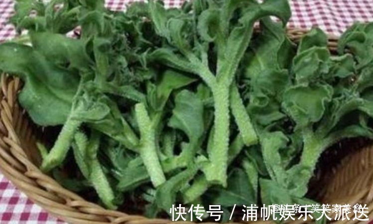 菜花|想长寿全靠吃,以下蔬菜不错过,排毒养颜、润肤美容!
