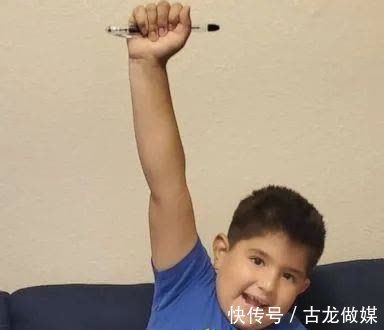 书架$美国八岁男孩作88页插画书,偷藏至图书馆引起百人争相借阅