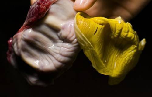 小便|中医泰斗张锡纯106则用药经验总结!满满的干货,值得收藏!