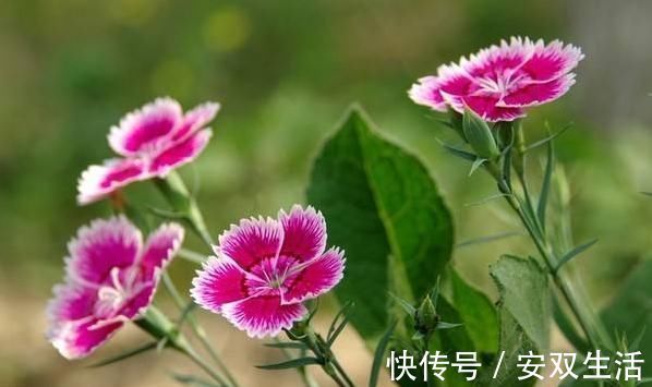 大器|孩子以后能否成大器,和成绩无关,这3句话点醒无数父母