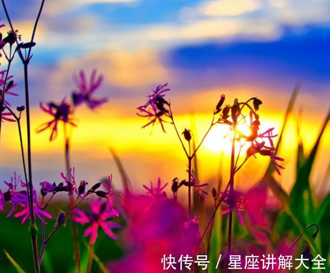 伴侣|一天后,4个星座,情深似海,一旦爱上不轻易变心,别辜负他们