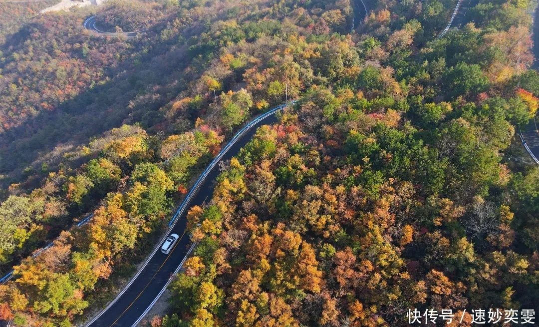 公路|这条藏在远安的旅游公路，惊艳了秋天，美成了童话