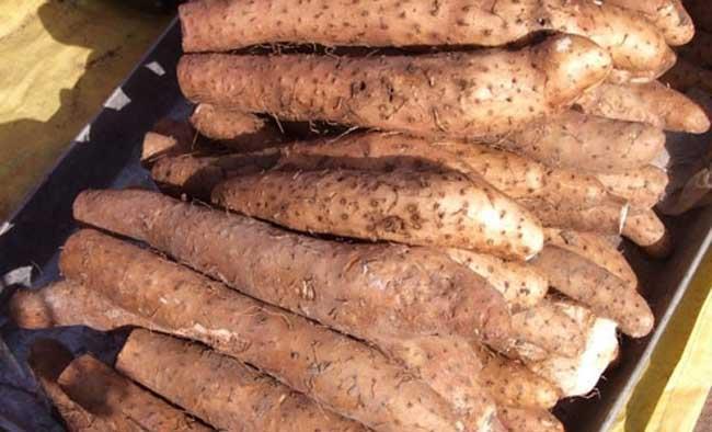 简单|天冷,多吃山药好处多多,推荐3个新鲜吃法,简单好做,营养滋补