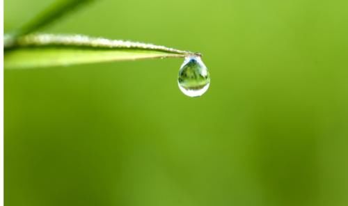 湿气|别忙着祛湿呐,先分清寒湿和湿热再说