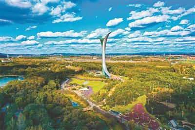 秋天|留住秋天的回忆