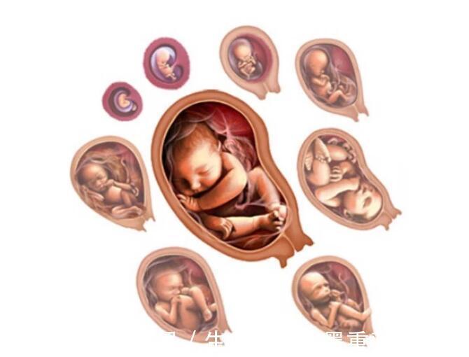 畸形|怀孕就像升级打怪,只要孕妇闯过3关,就可以安心等胎儿出生了