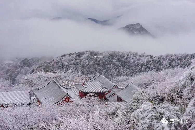 雪乡|今冬，去什么雪乡，在泰山上倾听雪落的声音！