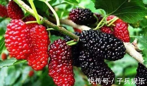 肝脏|肝病最怕的4种水果,每天吃一点,排清肝毒,养肝护肝,预防肝炎