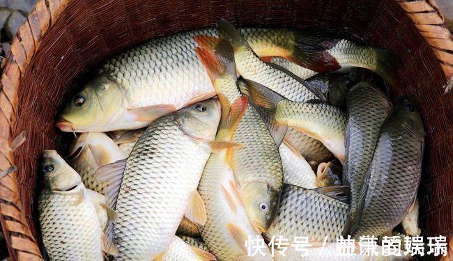 记忆力|这4种鱼平时尽量少吃,或携带甲醛和重金属,看看你吃过吗