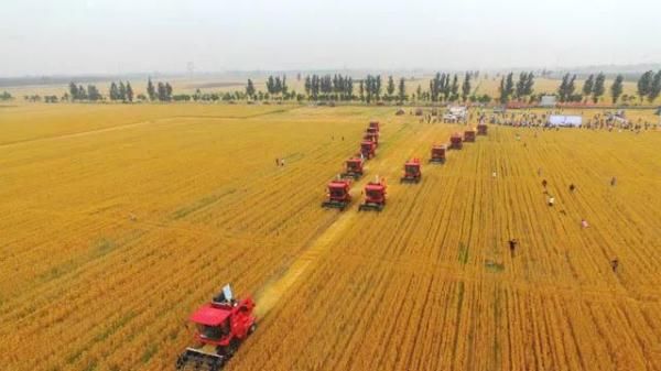 医保|下半年这些好消息不要错过！