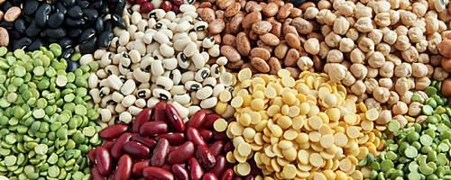 老人怎么吃有助延缓大脑衰老这些饮食技巧要记住