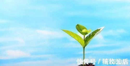 孩子|孩子为什么夜里总醒?原因其实很简单,知道的父母并不多!