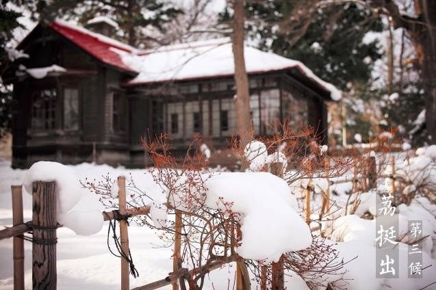 大雪进补有讲究，吃对整个冬天不生病|大雪节气 | 优质蛋白