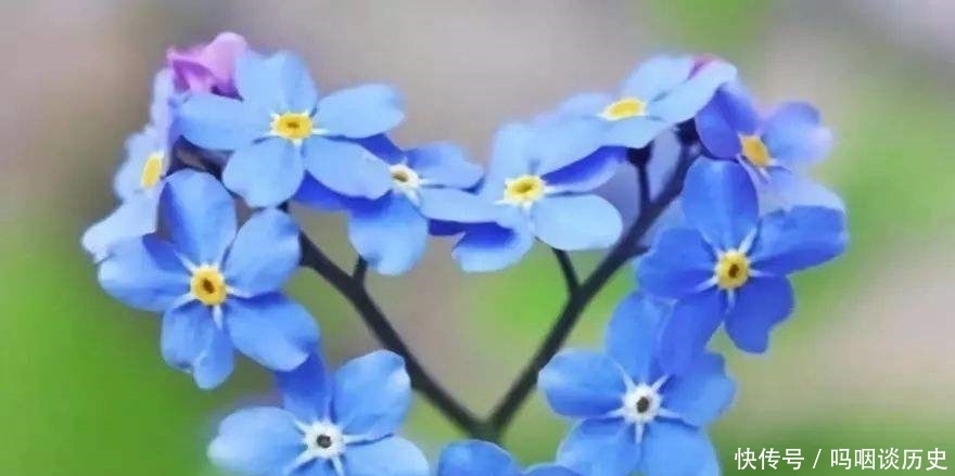 俗语|俗语:“得饶人处且饶人”,重点在下半句,可惜少为人知!