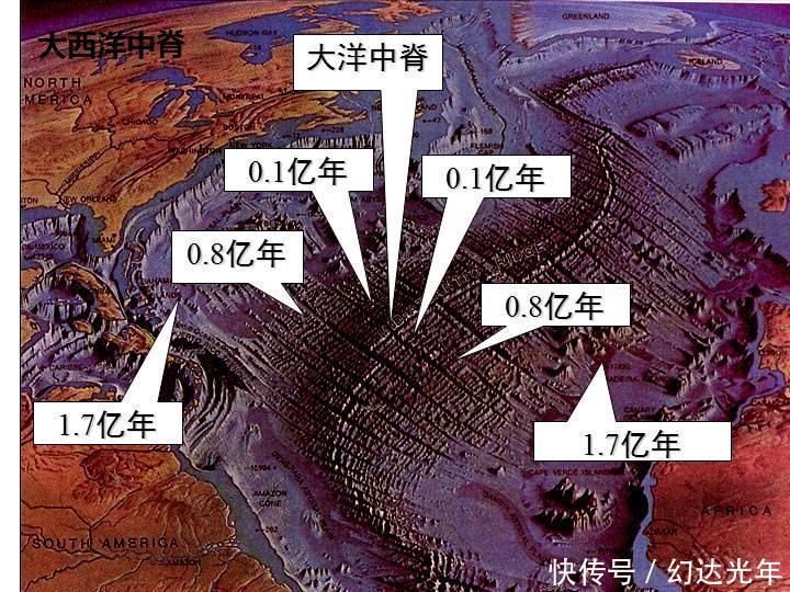 生物的秘密 板块运动对生物的塑造